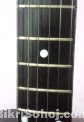 Acoustic guitar